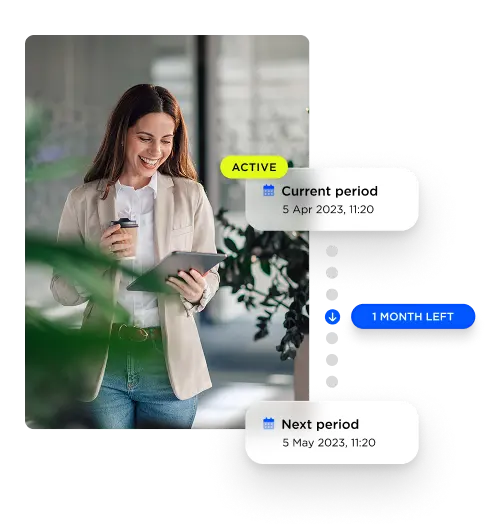 Information on a subscription plan with current period, next period and status